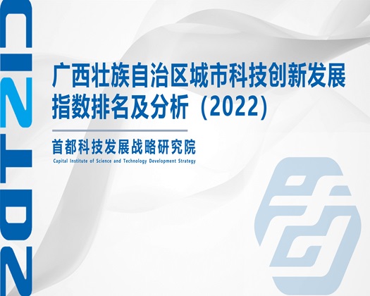 国产操逼啊啊啊啊【成果发布】广西壮族自治区城市科技创新发展指数排名及分析（2022）